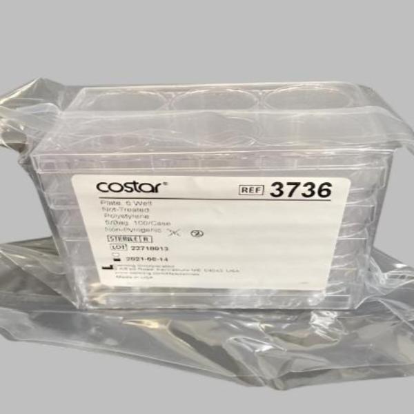 Corning Microplate with Lid 6 Well Sealed 50 Plates Lab Consumables::Storage and Culture Plates Corning