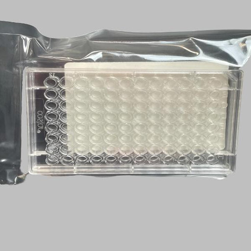 Corning Microplate with Lid 96 Well 360 ul PS Sterile Indiv Sealed 24 Plates Lab Consumables::Storage and Culture Plates Corning