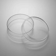 Corning Petri Dishes Vented with Lids 60 x 15 mm TC Treated 500 Dishes Petri Dishes/Culture Plates Corning