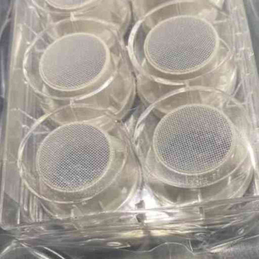 Corning Tube Insert 440 um Pore Size 24 mm Membrane Diameter 48 Inserts Petri Dishes/Culture Plates Corning