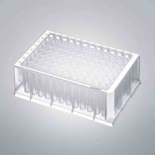 Eppendorf Microplate 96 Well 1000 ul Deep Well 6 Packs with 8 Plates Each Petri Dishes/Culture Plates Eppendorf
