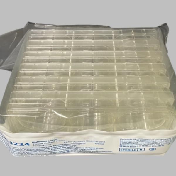 Falcon 353224 Microplate 6 Well Flat Bottom TC Treated 2 Cases of 36 Plates Lab Consumables::Storage and Culture Plates Falcon