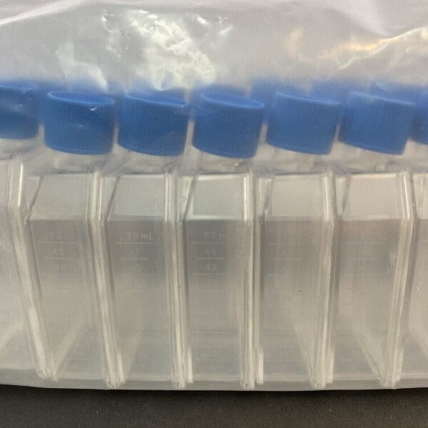 Falcon Culture Flask 50 ml with Plug Seal Cap Total of 40 Flasks Lab Consumables::Tubes, Vials, and Flasks Falcon