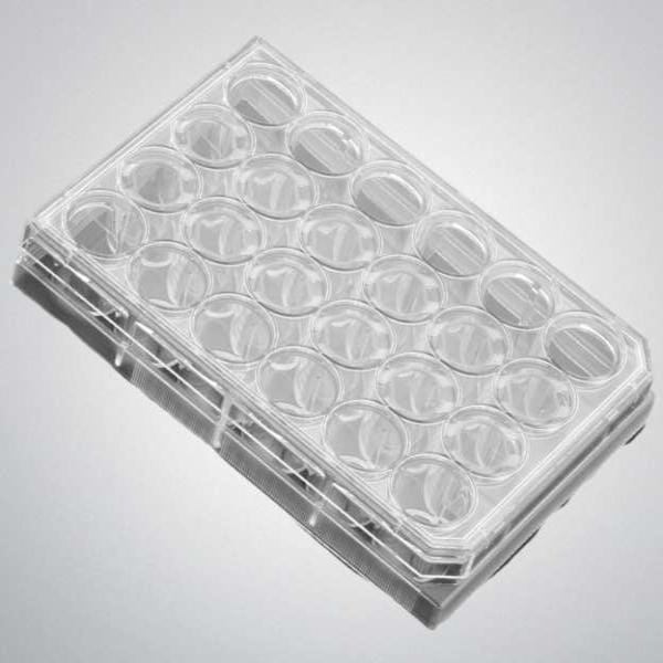 Falcon Culture Microplate with Lid 24 Well Case of 50 Plates Lab Consumables::Storage and Culture Plates Falcon