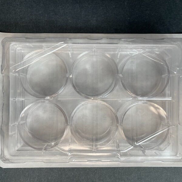 Falcon Culture Plate with Lid 6 Well PS Individually Sealed 28 Plates Lab Consumables::Storage and Culture Plates Falcon