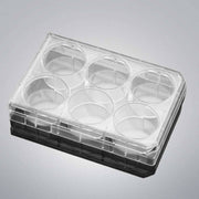 Falcon Culture Plate with Lid 6 Well PS Individually Sealed 28 Plates Petri Dishes/Culture Plates Falcon