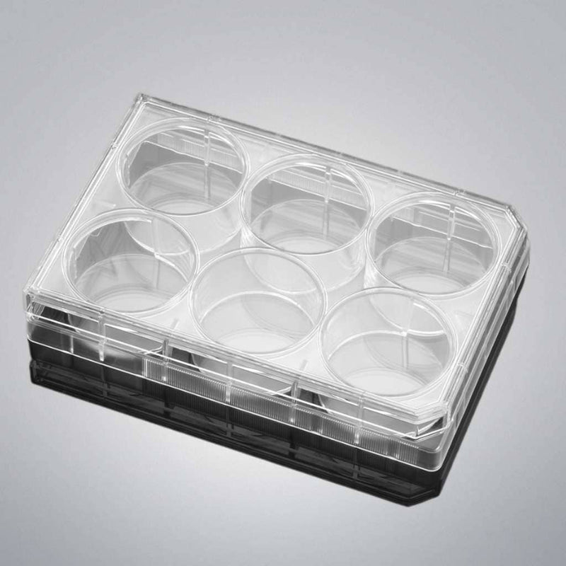 Falcon Culture Plate with Lid 6 Well PS Individually Sealed 28 Plates Petri Dishes/Culture Plates Falcon