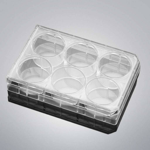 Falcon Culture Plate with Lid 6 Well PS Individually Sealed 28 Plates Petri Dishes/Culture Plates Falcon