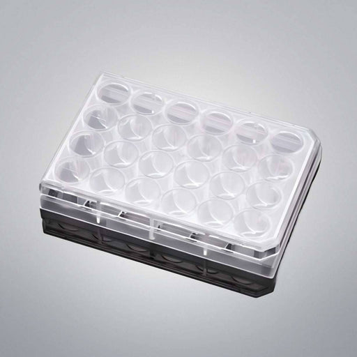 Falcon Culture Plates with Lids 24 Well Individually Sealed Total of 31 Plates Lab Consumables::Storage and Culture Plates Falcon