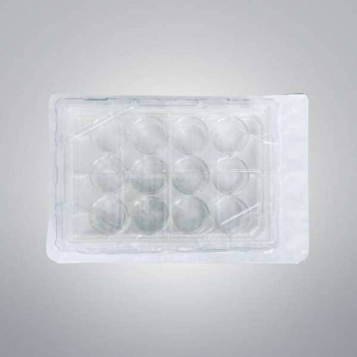 Falcon Microplate 12 Well Clear Flat Bottom Case of 50 Plates Lab Consumables::Storage and Culture Plates Falcon