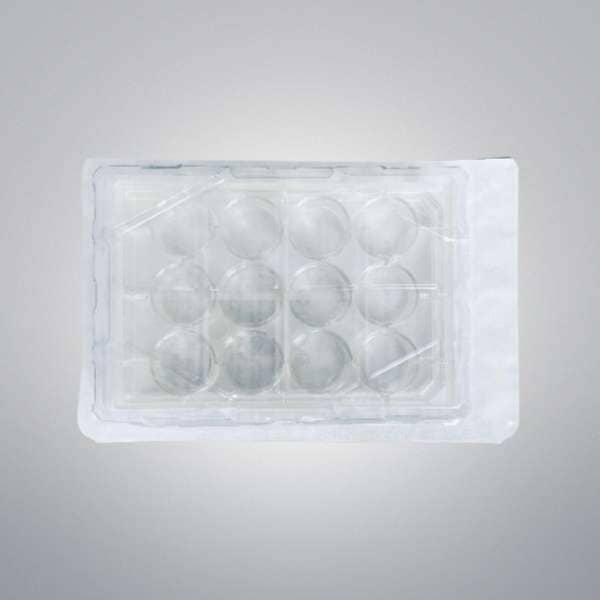 Falcon Microplate 12 Well Clear Flat Bottom Case of 50 Plates Lab Consumables::Storage and Culture Plates Falcon