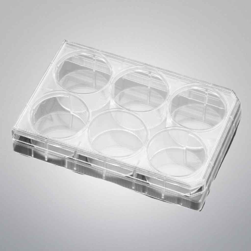 Falcon Microplate 6-Well Flat Bottom TC Treated with Lid — Life ...