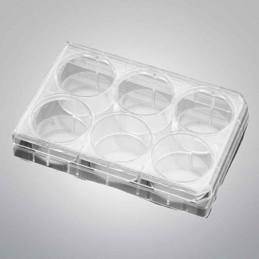 Falcon Microplate 6 Well Flat Bottom TC Treated 2 Cases of 36 Plates Each Petri Dishes/Culture Plates Falcon
