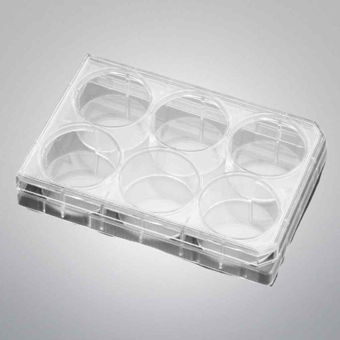 Falcon Microplate 6 Well Flat Bottom TC Treated 2 Cases of 36 Plates Each Petri Dishes/Culture Plates Falcon