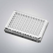 Falcon Microplate 96 Well Flat Bottom TC Treated with Lid 75 Plates Petri Dishes/Culture Plates Falcon