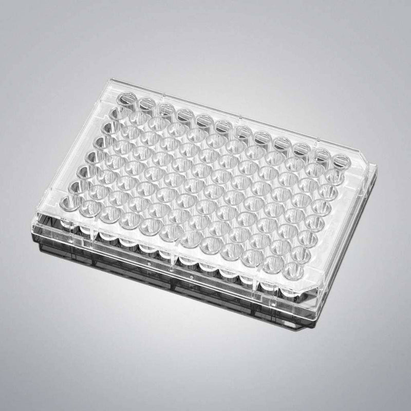 Falcon Microplate 96 Well Flat Bottom TC Treated with Lid 75 Plates Petri Dishes/Culture Plates Falcon