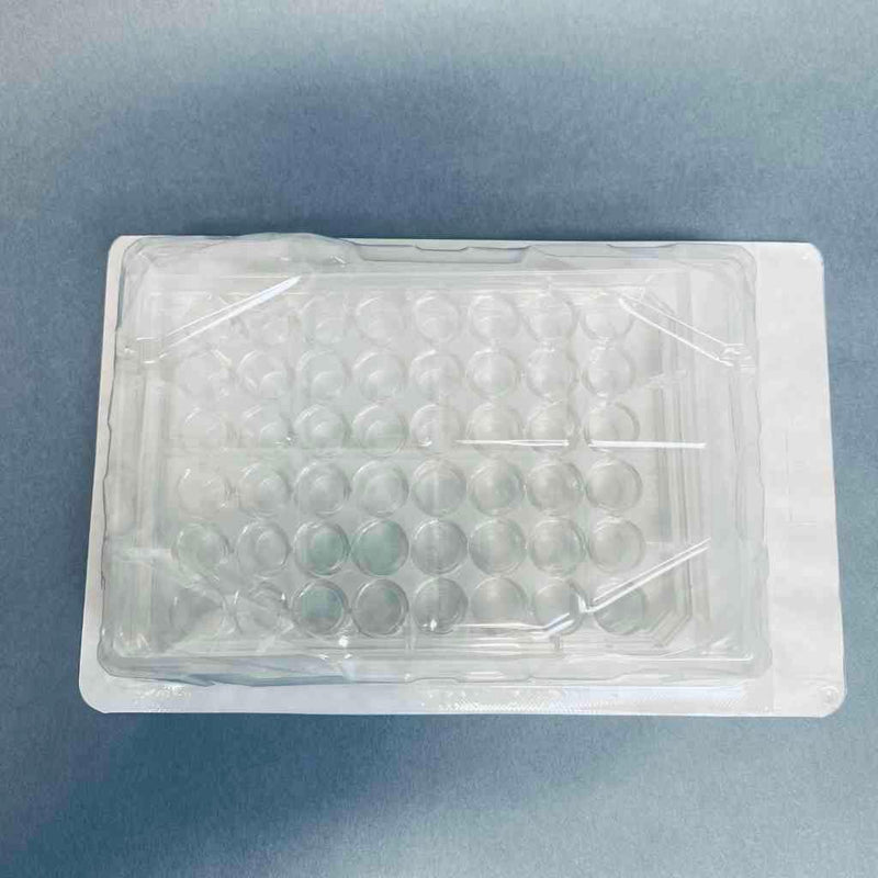 Falcon Microplate with Lid 48 Well PP 50 Plates Petri Dishes/Culture Plates Falcon