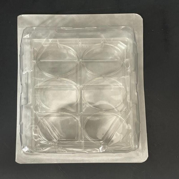 Falcon Microplate with Lid 6 Well Individually Sealed Case of 50 Plates Lab Consumables::Storage and Culture Plates Falcon