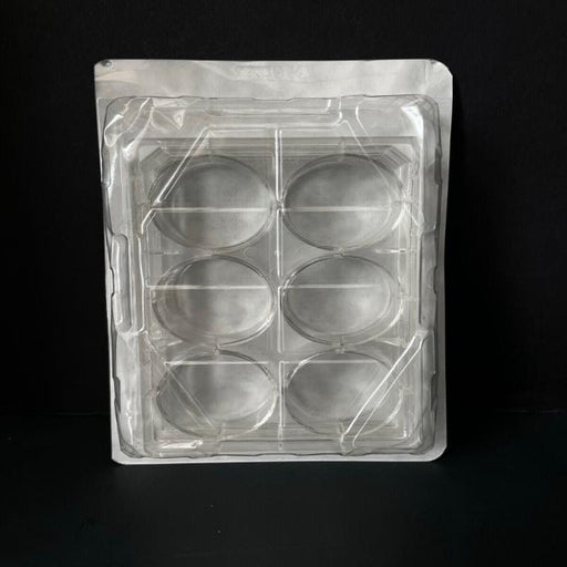 Falcon Microplate with Lid 6 Well Individually Sealed Case of 50 Plates Lab Consumables::Storage and Culture Plates Falcon