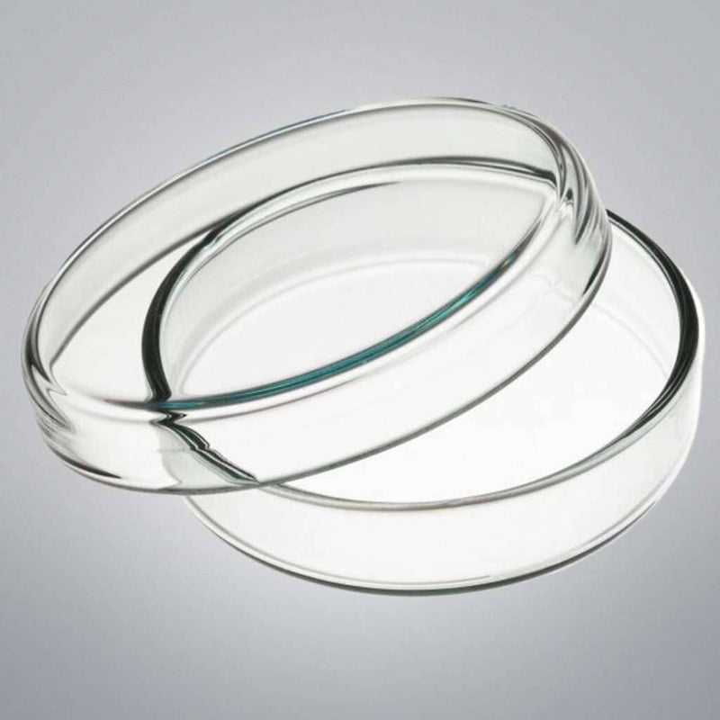 Fisher Scientific Petri Dish 60 x 15 mm Sterile Non-vented Case of 500 Dishes Petri Dishes/Culture Plates Fisher Scientific
