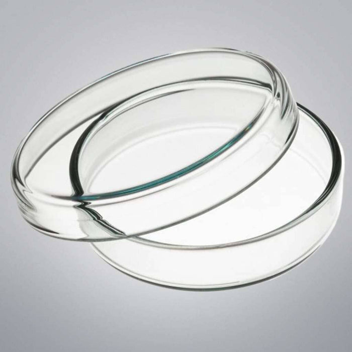 Fisher Scientific Petri Dish 60 x 15 mm Sterile Non-vented Case of 500 Dishes Petri Dishes/Culture Plates Fisher Scientific