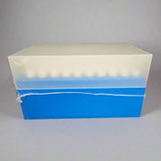 Fisher Scientific Pipette Tips 1000 ul Sterile 10 Racks with 100 Tips Each Pipettes & Pipette Tips Fisher Scientific