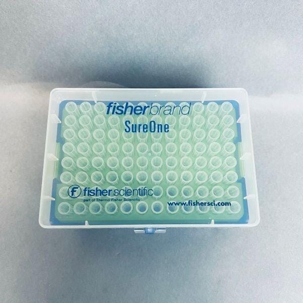 Fisher Scientific SureOne Pipette Tips LR 300 ul Micropoint Pipets & Pipette Tips Fisher Scientific