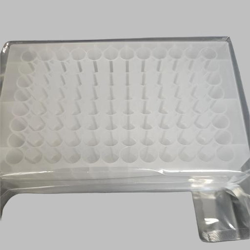 Fisherbrand 12566612 Deep Well Microplate 96 Well 2 ml Case of 60 Plates Lab Consumables::Storage and Culture Plates Fisherbrand