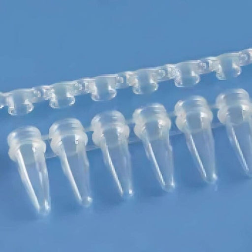 Fisherbrand 8-Tube Strip with Caps 0.25 ml PP Pack of 250 Tubes Lab Consumables::Tubes, Vials, and Flasks Fisherbrand