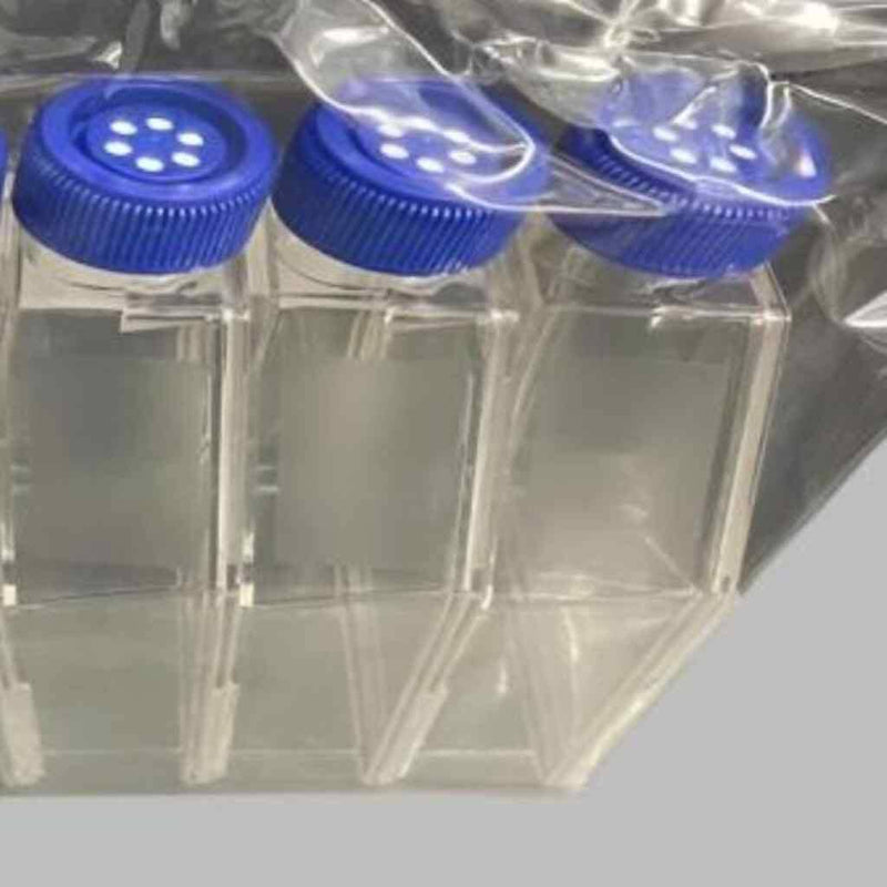 Fisherbrand Culture Flask 600 ml Vented Cap Case of 40 Flasks Lab Culture Flask Fisherbrand