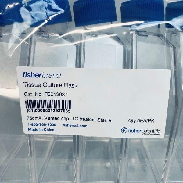 Fisherbrand Culture Flask 75 cm2 with Vent Cap TC Treated Sterile Lot of 50 Flasks Lab Flasks Fisherbrand