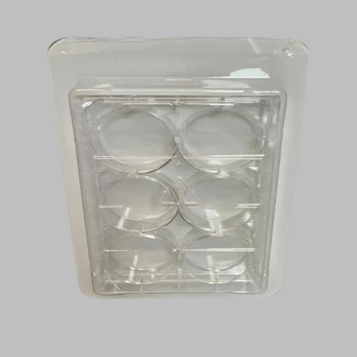 Fisherbrand Microplate 6 Well Flat Bottom Individually Sealed 100 Plates Lab Consumables::Storage and Culture Plates Fisherbrand