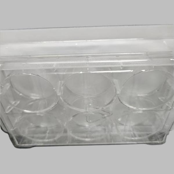 Fisherbrand Microplate 6 Well Flat Bottom Individually Sealed 100 Plates Lab Consumables::Storage and Culture Plates Fisherbrand