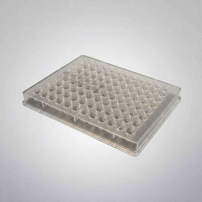 Globe Scientific Microplate 96 Well Case of 50 Plates Petri Dishes/Culture Plates Globe Scientific