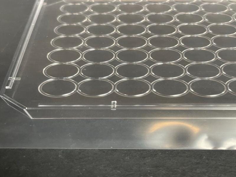 Greiner BioOne 656170 Microplate Lid with Condensation Ring Pack of