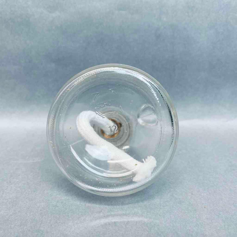 Hach Laboratory Alcohol Burner with Glass Cap and Ground Joint Lot of 2 Burners Glassware Hach