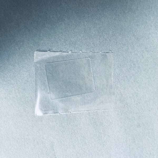 Hausser Hemocytometer Set Includes 2 Corpuscle Pipets, 1 Cover Glass Slip, and Carrying Case Lab Equipment::Other Lab Equipment Hausser Scientific