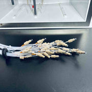 Illumina HiSeq 2000 Reagent Compartment Assembly Equipment Parts Illumina