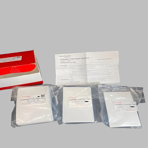 Invitrogen Filter Paper Sandwich 0.45 um PVDF Membrane 8.5 x 13.5 cm 21 Filters Filters Invitrogen