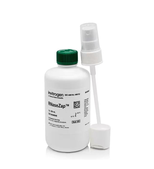 Invitrogen RNaseZap 250 ml RNAase Cleaning Agent 5 Solutions Other Invitrogen