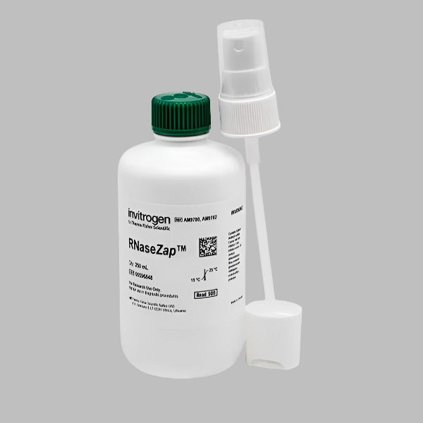 Invitrogen RNaseZap 250 ml RNAase Cleaning Agent 5 Solutions Other Invitrogen