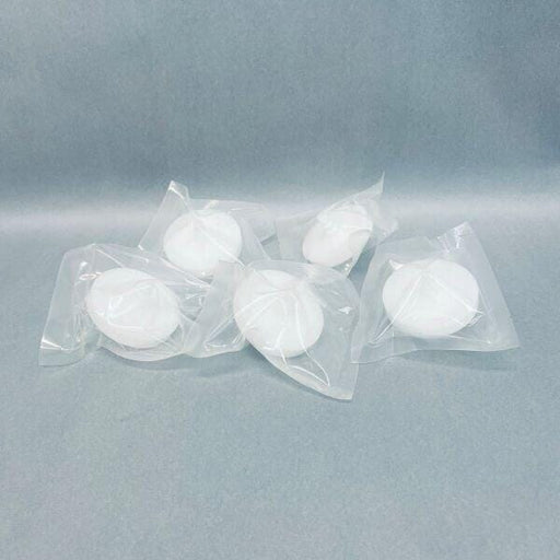 IW Tremont PTFE Vent Filter 0.22 um Sterile 50 mm Diam. Pack of 5 Filters IW Tremont