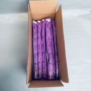 Kimble Serological Pipette 50 ml Glass Plugged Individually Sealed Case of 50 Pipets Pipettes Kimble