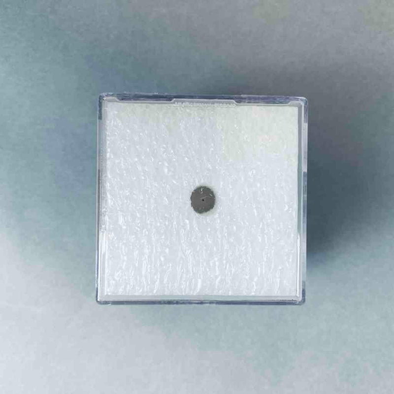 Michrom Bioresources Inc Replacement Spray Tip 30 mm ID LC/MS/GC Michrom Bioresources