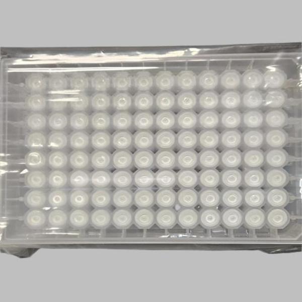 Millipore Filter Microplate 96 Well 0.45 um Deep Well Solvinert 10 Filter Plates Filters Millipore