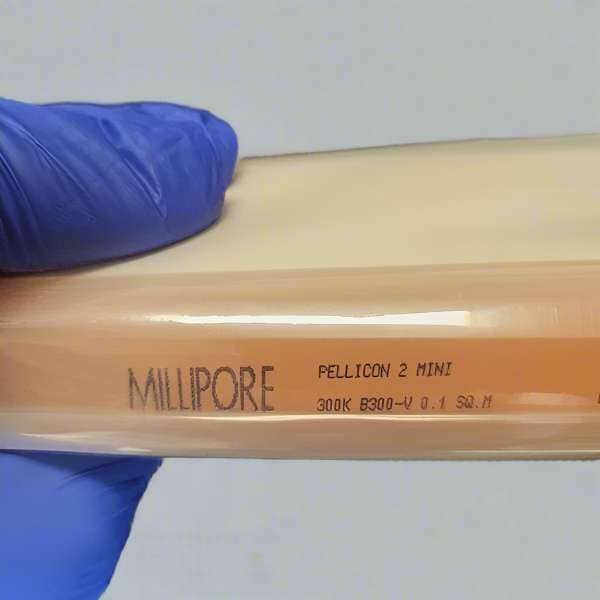 Millipore Filter Pellicon 2 Mini Cassette with 300 kD Biomax Membrane V Screen Filters Millipore
