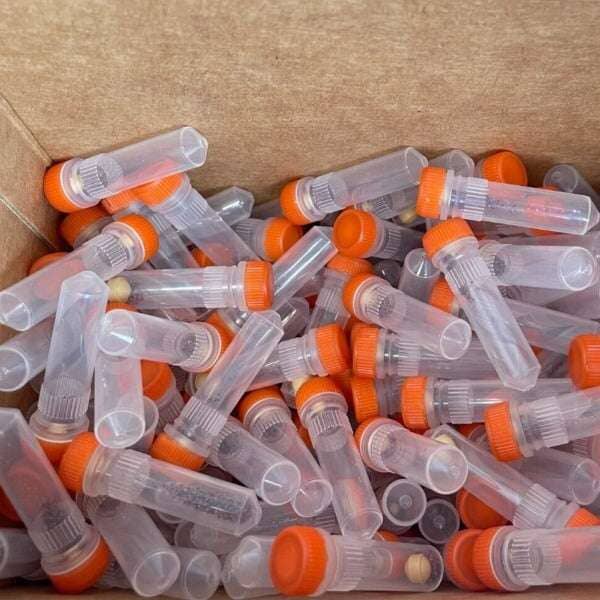 MP Biomedicals Lysing Matrix A 2 ml Garnet and Ceramic Sphere Total of 400 Tubes Other MP Biomedicals