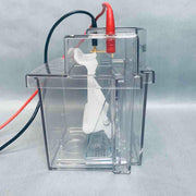 Novex XCell II Mini Cell SureLock Electrophoresis System Other Novex