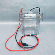 Novex XCell II Mini Cell SureLock Electrophoresis System Other Novex