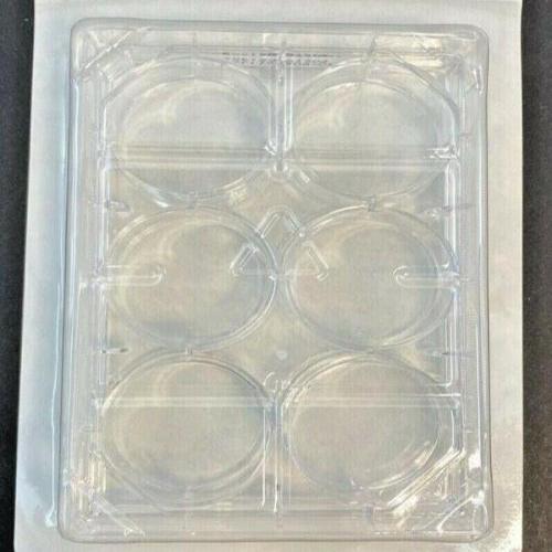 Olympus 25-105 Culture Plate Flat Bottom Sterile Single Sealed 6 Well Plate Lab Consumables::Storage and Culture Plates Olympus